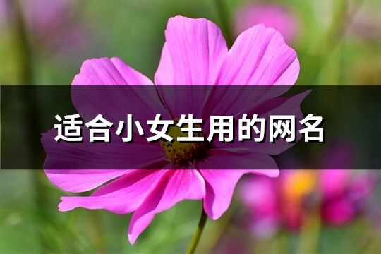 适合小女生用的网名(共827个)