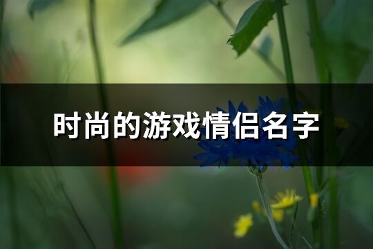 时尚的游戏情侣名字(精选262个)