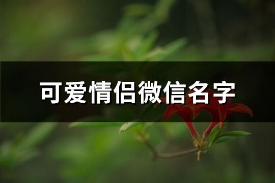 可爱情侣微信名字(共201个)