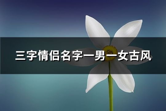 三字情侣名字一男一女古风(163个)