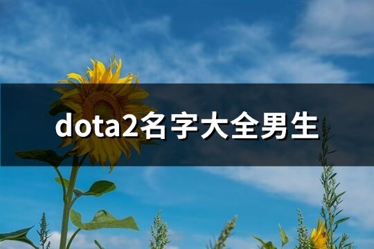 dota2名字大全男生(精选433个)