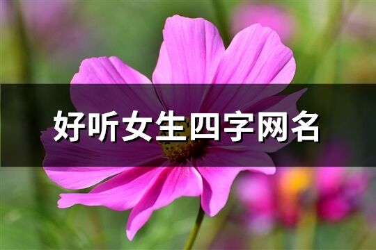 好听女生四字网名(共487个)