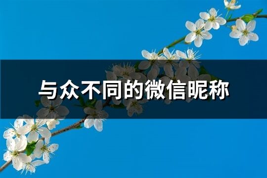 与众不同的微信昵称(共876个)