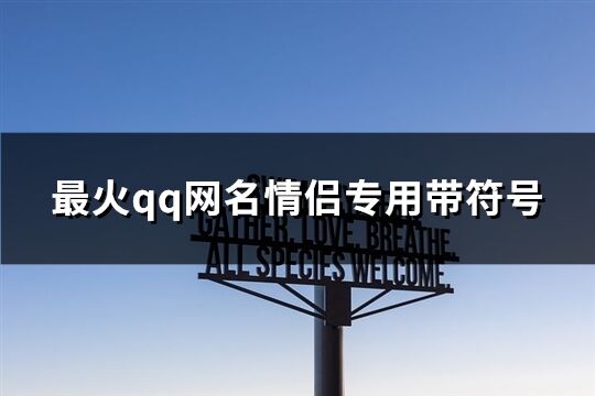 最火qq网名情侣专用带符号(211个)