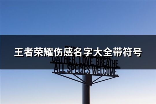 王者荣耀伤感名字大全带符号(共91个)