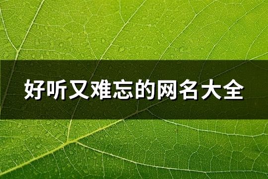 好听又难忘的网名大全(1160个)