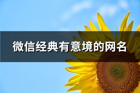 微信经典有意境的网名(共698个)