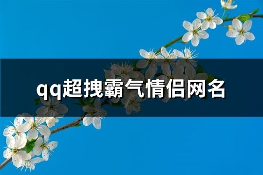 qq超拽霸气情侣网名(共165个)