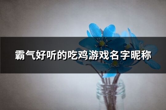 霸气好听的吃鸡游戏名字昵称(共427个)