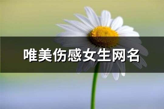 唯美伤感女生网名(共107个)