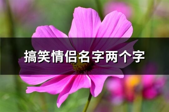 搞笑情侣名字两个字(精选91个)