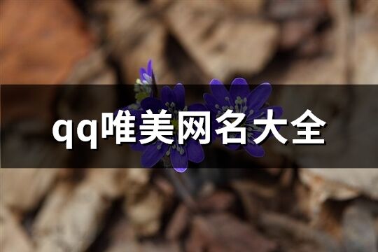 qq唯美网名大全(精选96个)