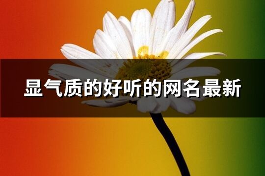 显气质的好听的网名最新(1853个)