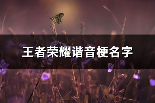 王者荣耀谐音梗名字(精选93个)