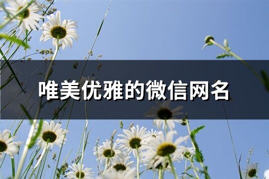 唯美优雅的微信网名(共617个)