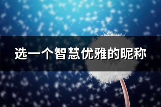 选一个智慧优雅的昵称(共183个)