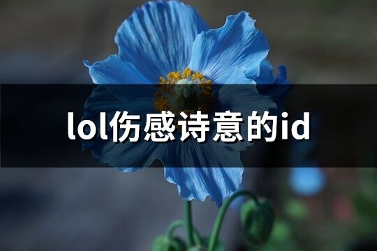 lol伤感诗意的id(共106个)