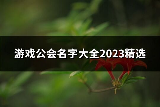 游戏公会名字大全2023精选(共614个)