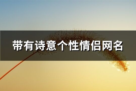 带有诗意个性情侣网名(289个)