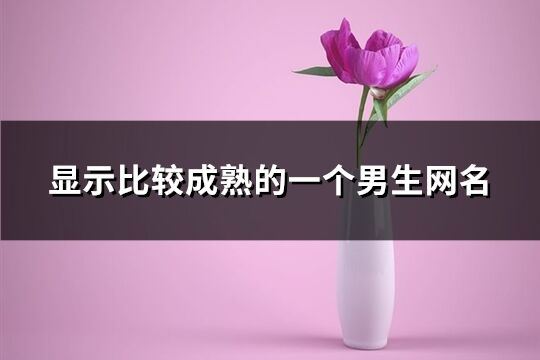 显示比较成熟的一个男生网名(精选1012个)