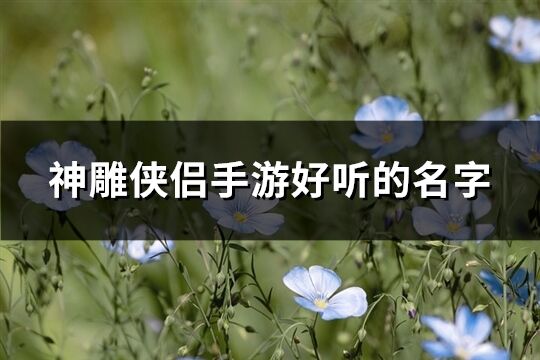 神雕侠侣手游好听的名字(精选449个)