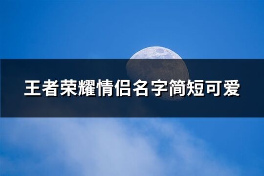 王者荣耀情侣名字简短可爱(精选726个)