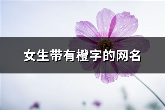 女生带有橙字的网名(共107个)