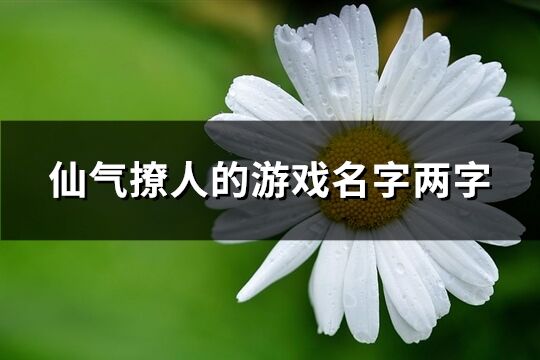 仙气撩人的游戏名字两字(共270个)