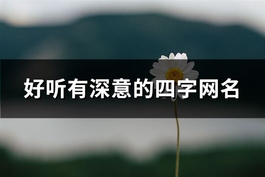 好听有深意的四字网名(共1205个)