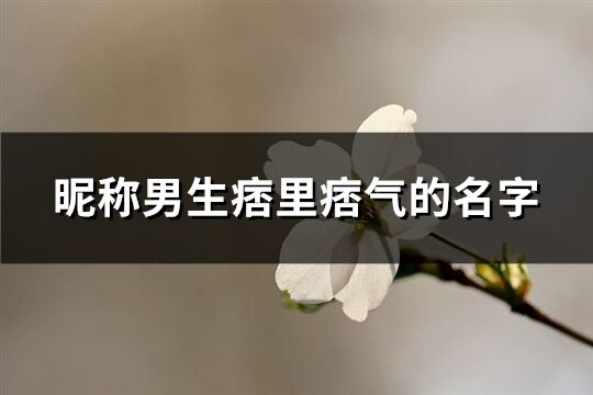 昵称男生痞里痞气的名字(共155个)