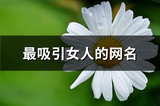 最吸引女人的网名(精选123个)