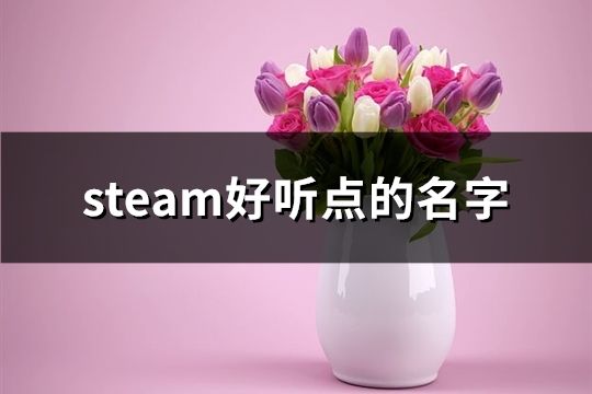 steam好听点的名字(共351个)