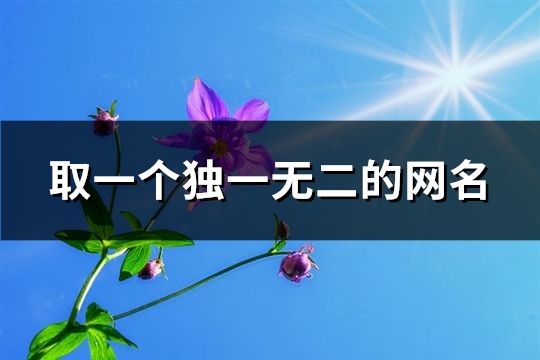 取一个独一无二的网名(共828个)