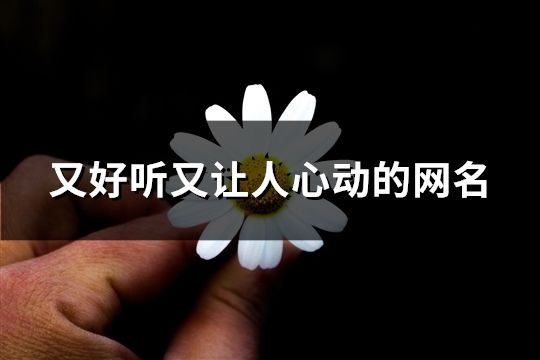 又好听又让人心动的网名(共214个)