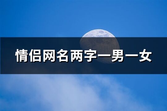 情侣网名两字一男一女(共336个)