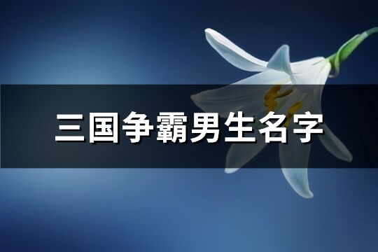 三国争霸男生名字(精选172个)