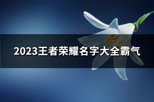 2023王者荣耀名字大全霸气(228个)