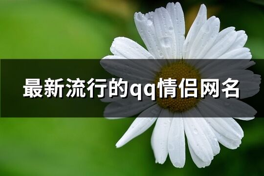 最新流行的qq情侣网名(424个)