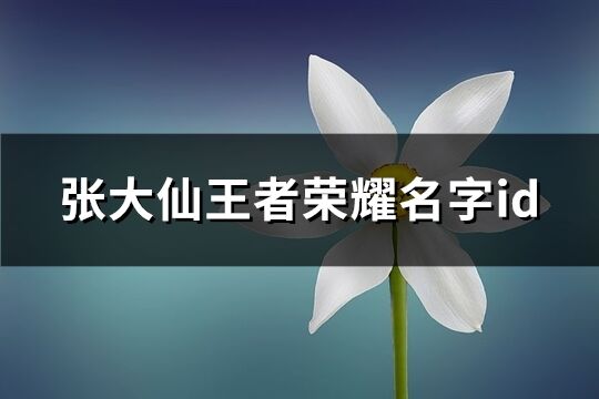 张大仙王者荣耀名字id(共70个)