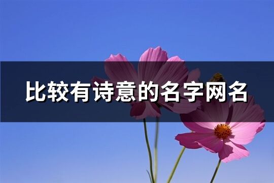 比较有诗意的名字网名(共485个)