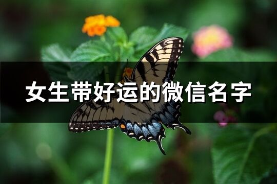 女生带好运的微信名字(共640个)