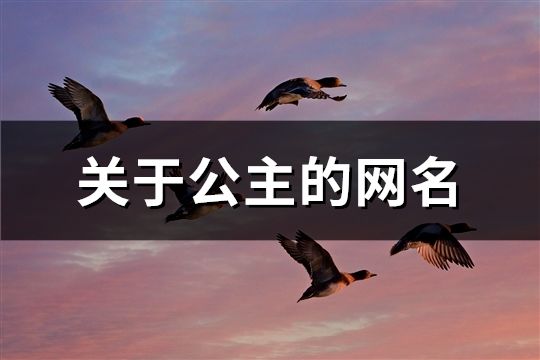 关于公主的网名(精选184个)