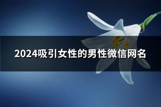 2024吸引女性的男性微信网名(精选168个)