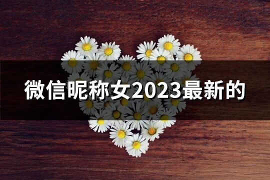 微信昵称女2023最新的(共302个)