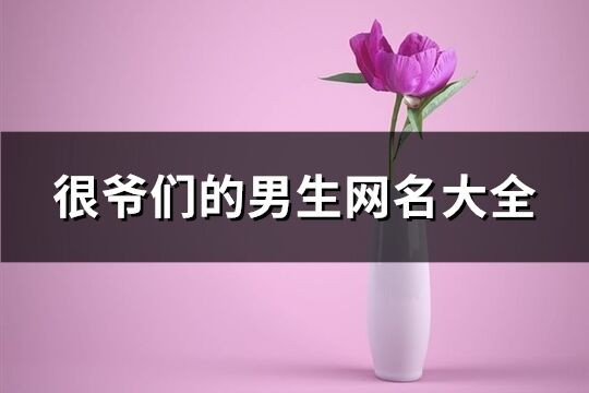 很爷们的男生网名大全(共408个)