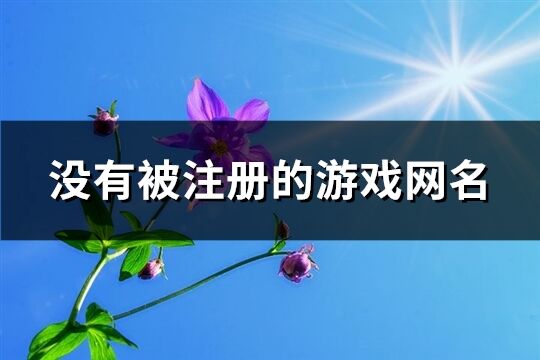 没有被注册的游戏网名(309个)