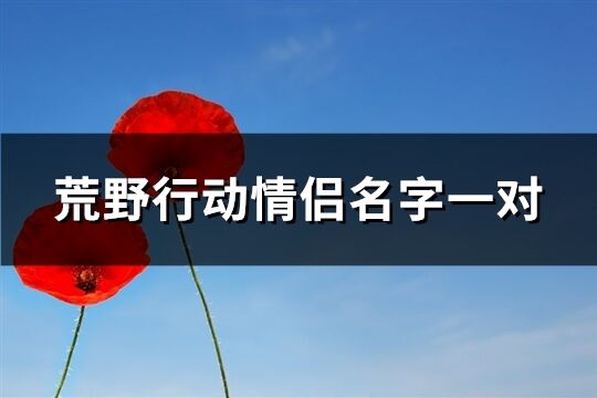 荒野行动情侣名字一对(共235个)