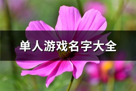 单人游戏名字大全(共189个)