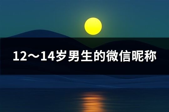 12～14岁男生的微信昵称(精选275个)