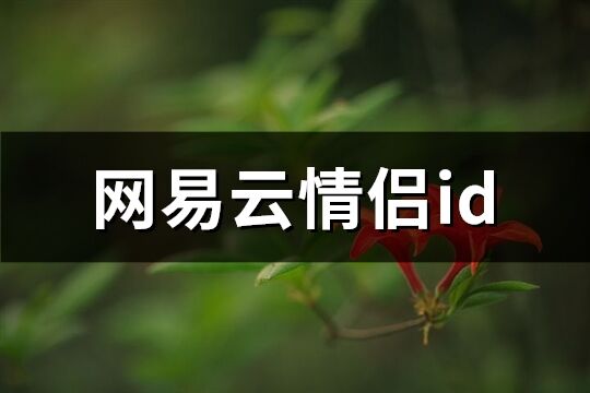 网易云情侣id(68个)